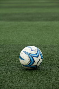 爱游戏app下载-校园足球项目考核标准缺乏可复制性，校园足球项目绩效自评报告  第3张